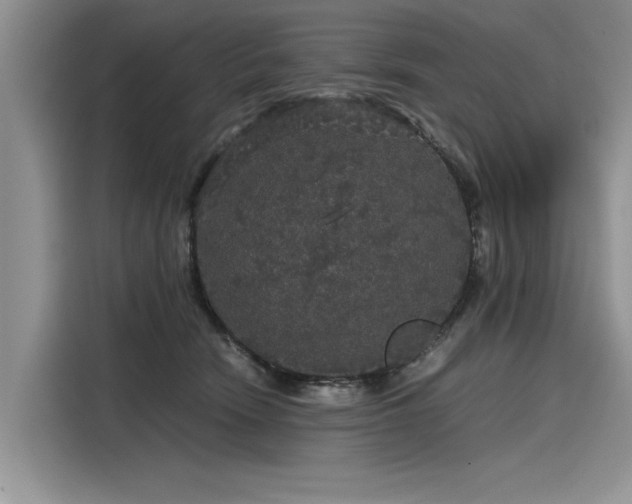 X0000116120466200911301330