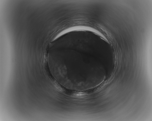 X0000116120467200911301330