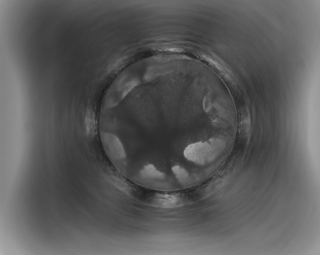 X0000116120469200911301330