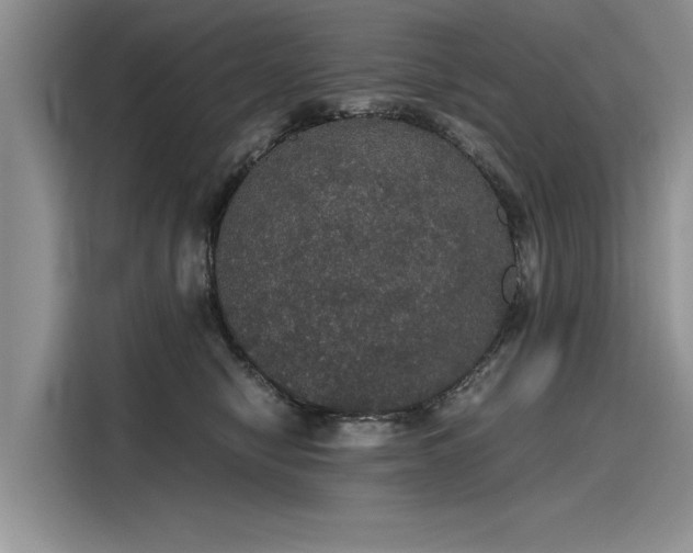 X0000116120470200911301330