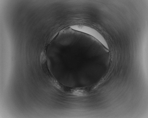 X0000116120471200911301330