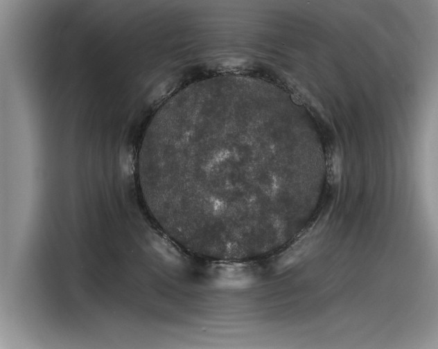 X0000116120472200911301330