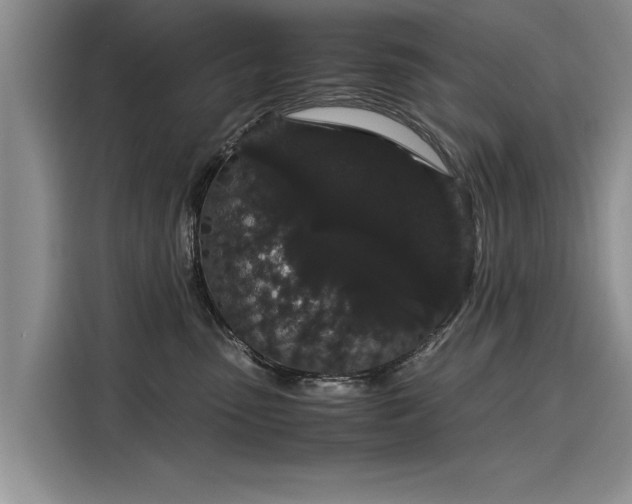 X0000116120475200911301330