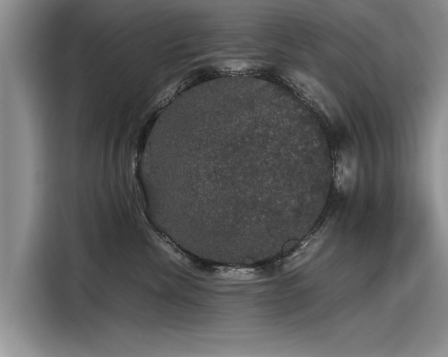 X0000116120476200911301330