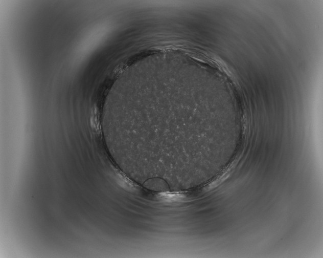 X0000116120477200911301331