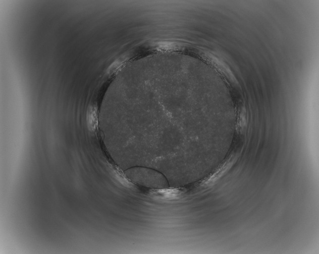 X0000116120478200911301331