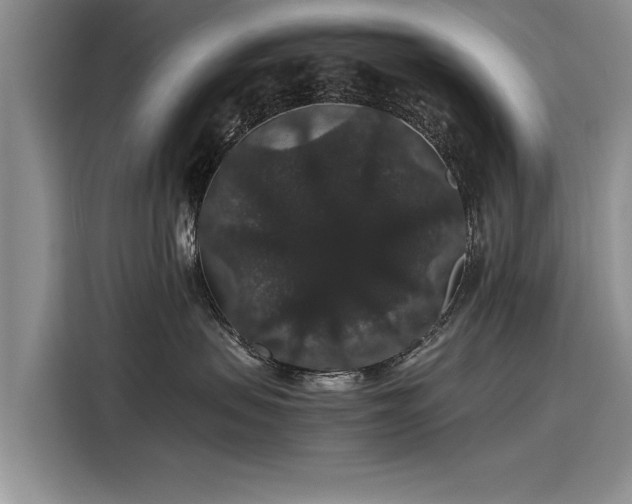 X0000116120479200911301331