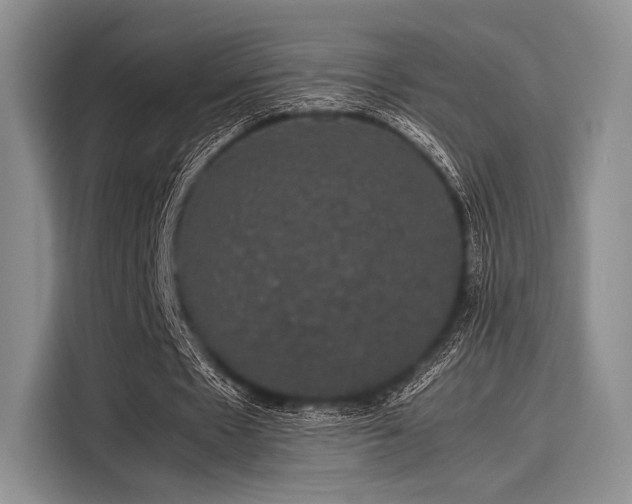 X0000116120481200911301330