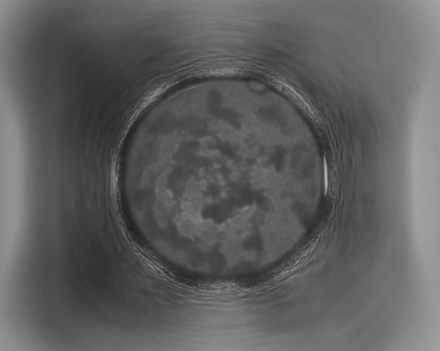 X0000116120483200911301330