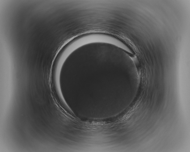 X0000116120484200911301330