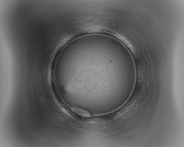 X0000116120485200911301330