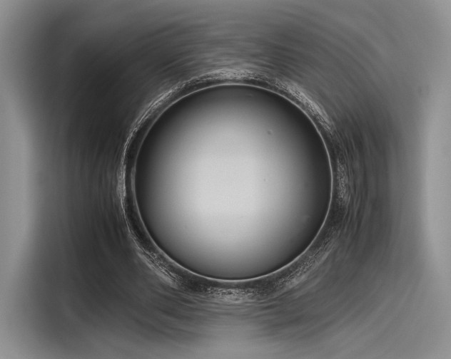 X0000116120486200911301330