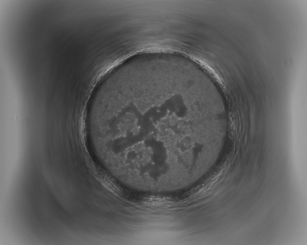 X0000116120487200911301330