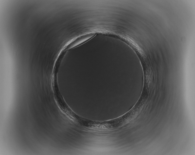 X0000116120488200911301330