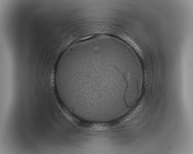 X0000116120489200911301330