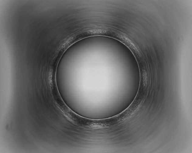 X0000116120490200911301330