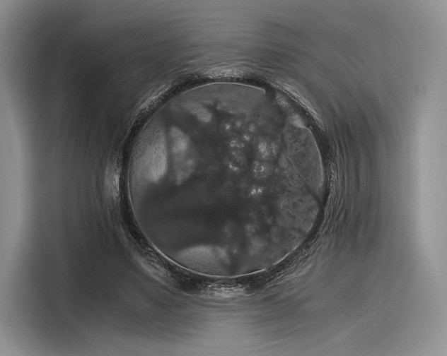 X0000116120491200911301330