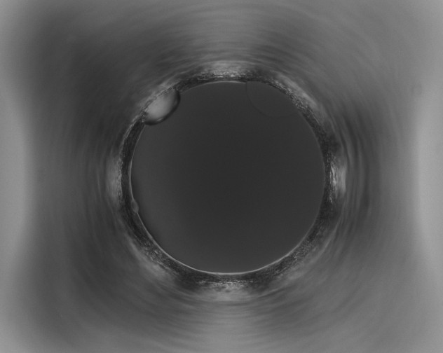 X0000116120492200911301330