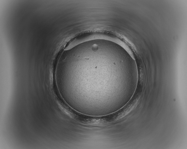 X0000116120493200911301330