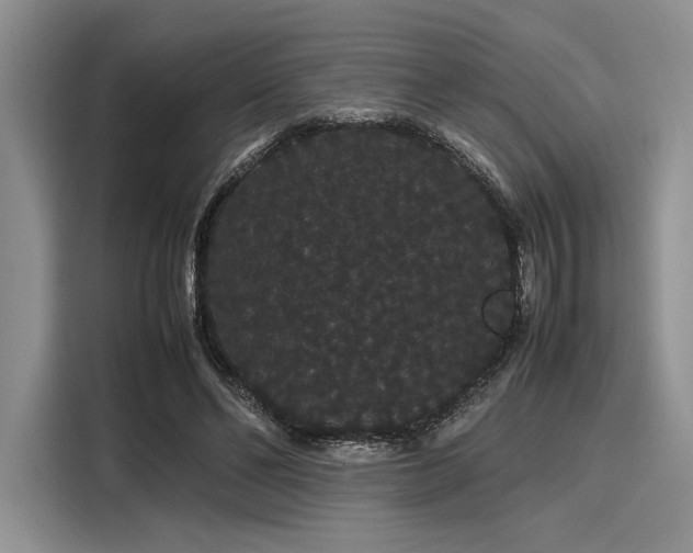 X0000116120494200911301330