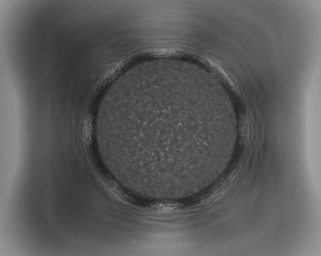 X0000116120495200911301330