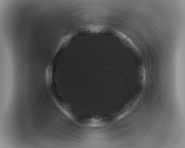 X0000116120496200911301330