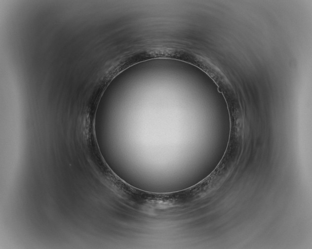 X0000116120498200911301330