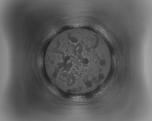 X0000116120499200911301330