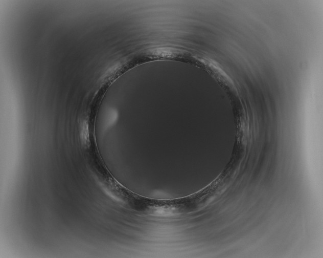 X0000116120500200911301330