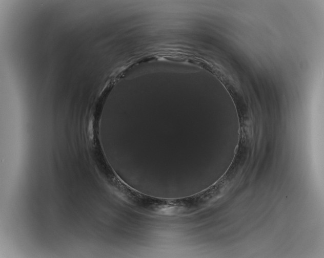 X0000116120504200911301330