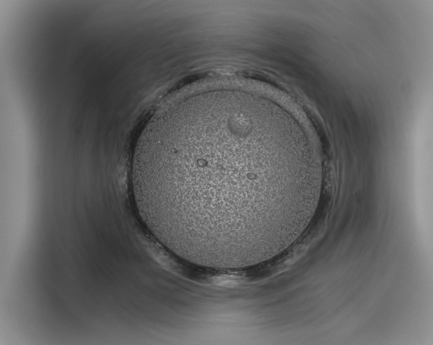 X0000116120505200911301330