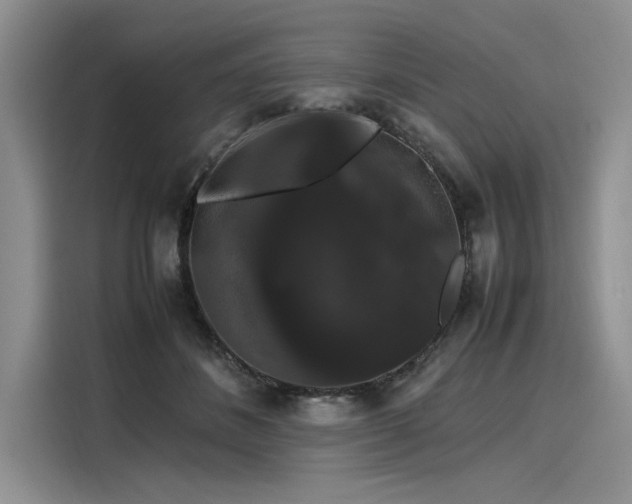 X0000116120508200911301330