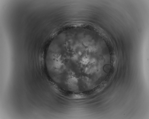 X0000116120510200911301330