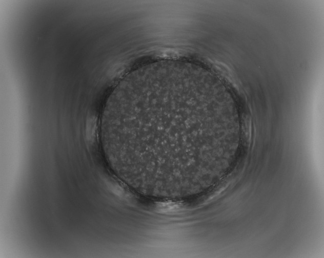 X0000116120511200911301330