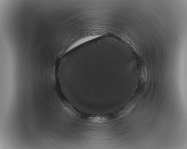 X0000116120512200911301330