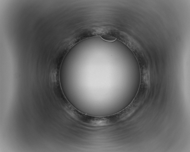 X0000116120514200911301329