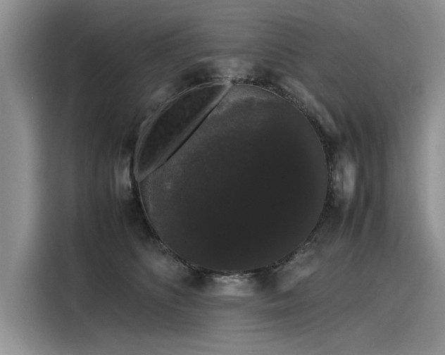 X0000116120516200911301329