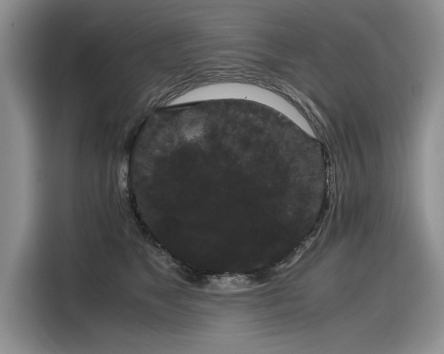 X0000116120517200911301329