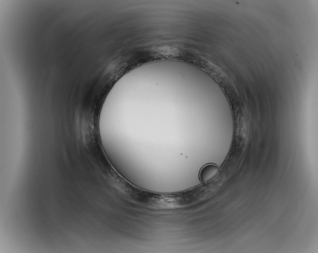 X0000116120518200911301329