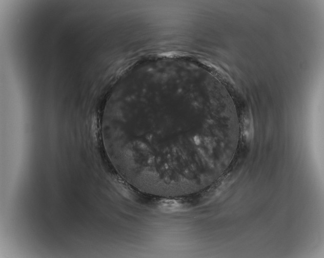 X0000116120519200911301329