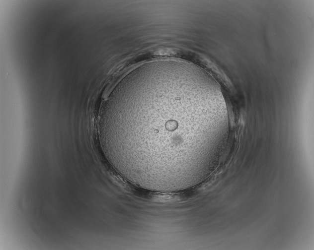 X0000116120521200911301329