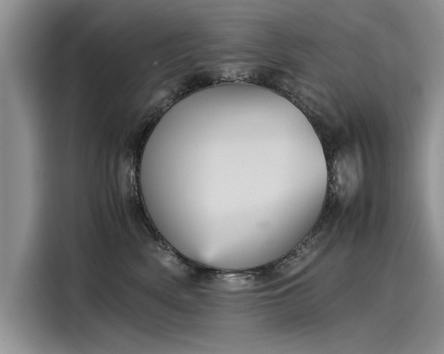 X0000116120522200911301329