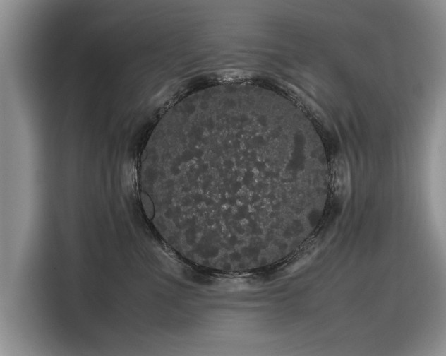 X0000116120523200911301329