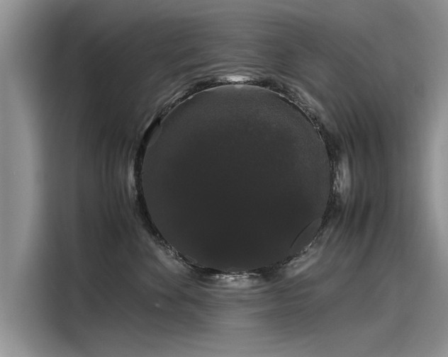 X0000116120524200911301329