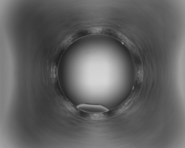 X0000116120525200911301329