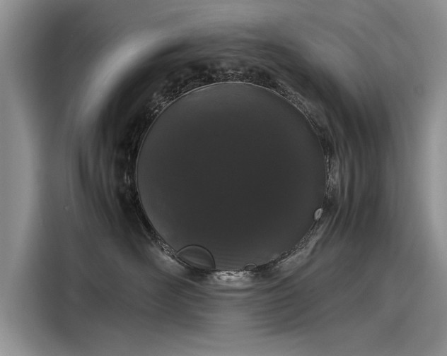 X0000116120526200911301329