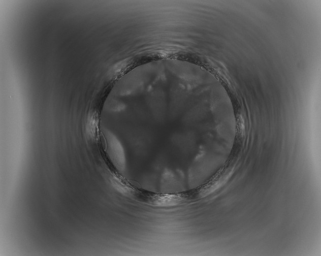 X0000116120527200911301329