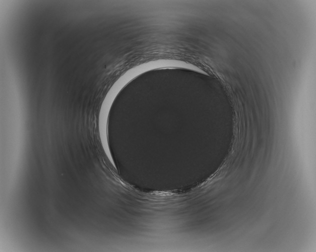 X0000116120528200911301329