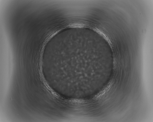 X0000116120529200911301329