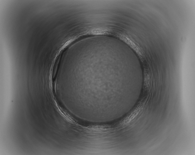 X0000116120530200911301329